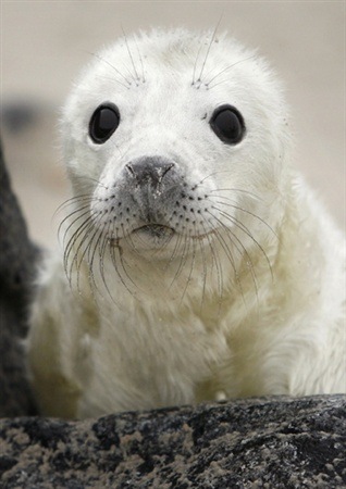 №19, Артём Самокаев, 124 года №19, Артём Самокаев, 124 года