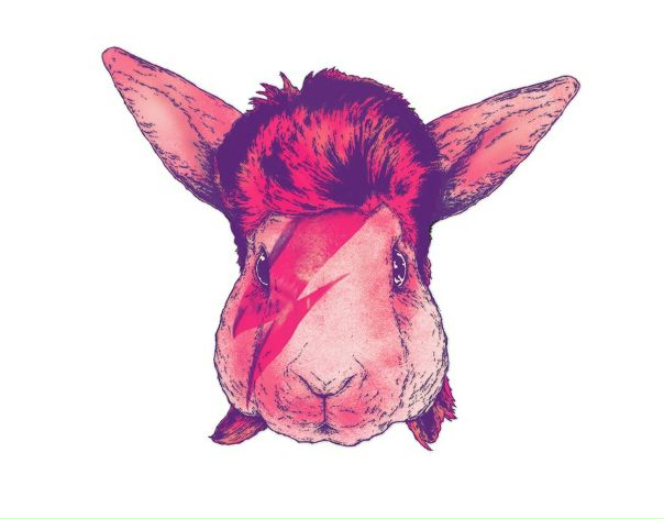 №20, Rori Brown, Киев №20, Rori Brown, Киев