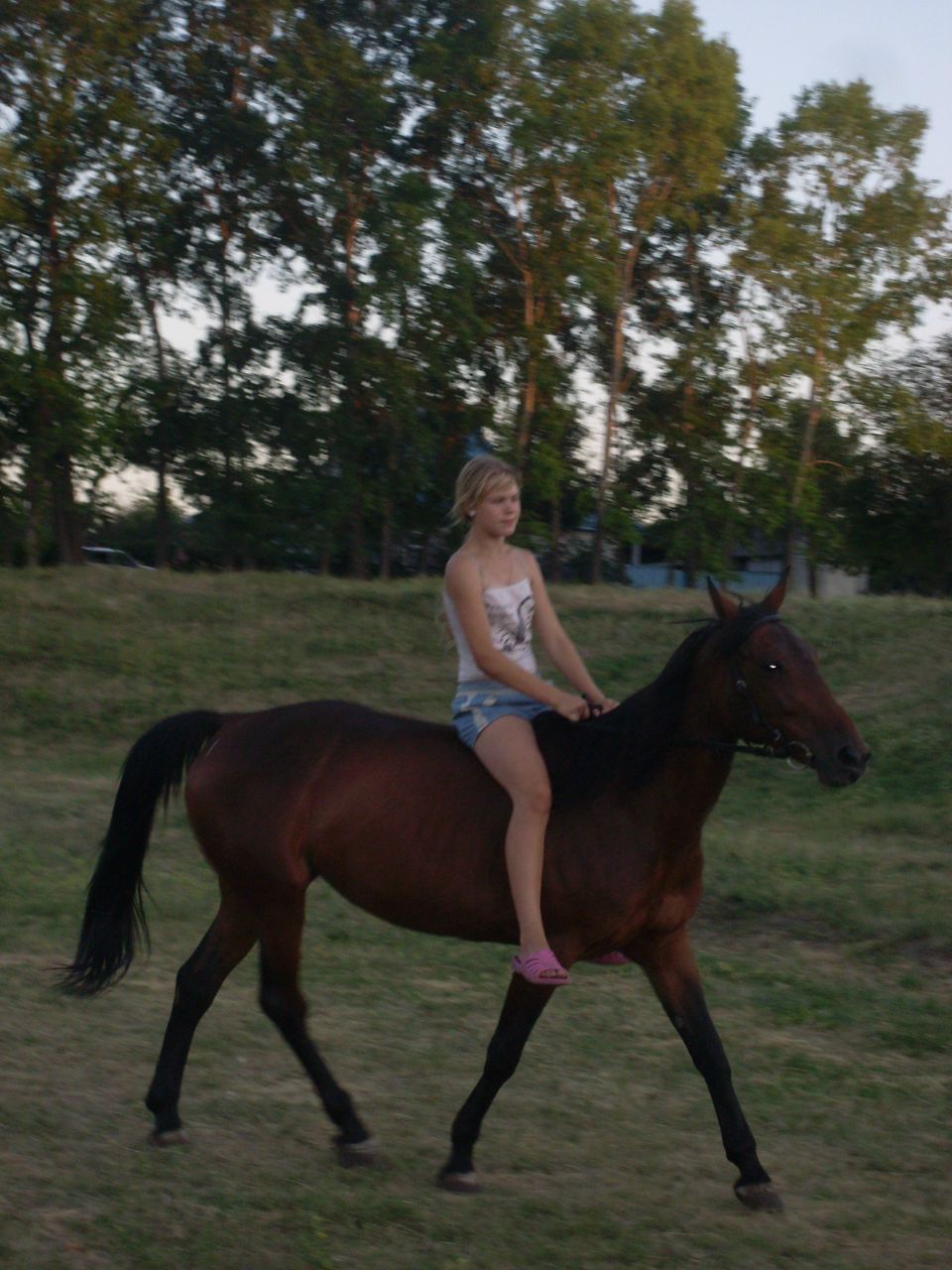 Елена Красильникова | 