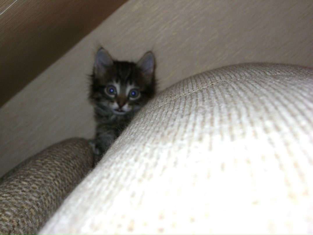 Виталий Иванов | Омск