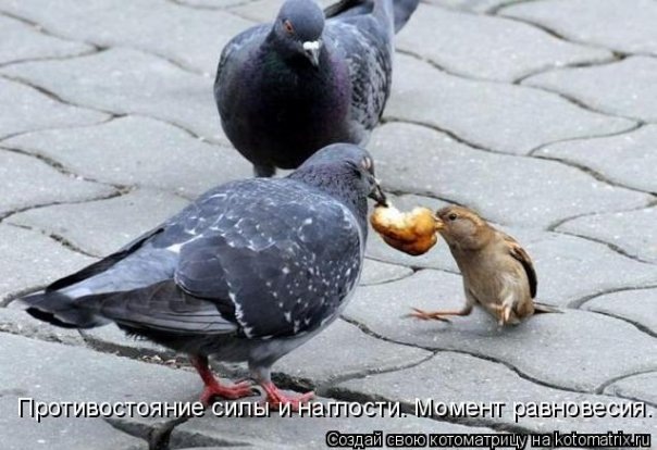 №46, Ирина Федосова, Курган №46, Ирина Федосова, Курган