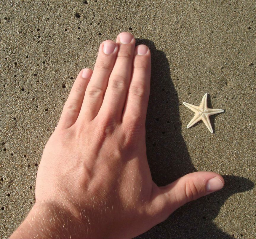 Саша Милентьев | Москва