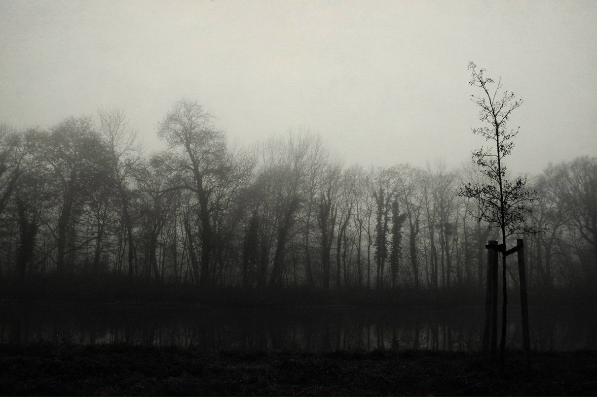 Варя Домбровская | Halle (Saale)