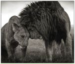 №34 Анастасия Фомина 05.12.1985: профиль, фото, статус - ВКонтакте