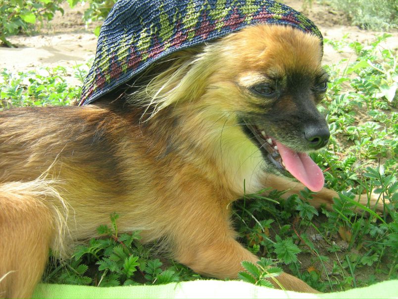 №5, Светлана Гайфуллина, Красноярск №5, Светлана Гайфуллина, Красноярск