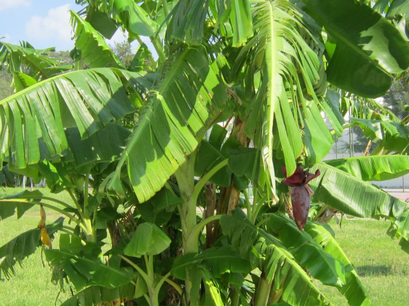 Эльвира Галимова | Уфа