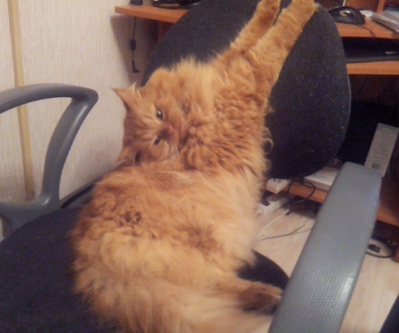 №9, Роман Цыбин, Москва №9, Роман Цыбин, Москва