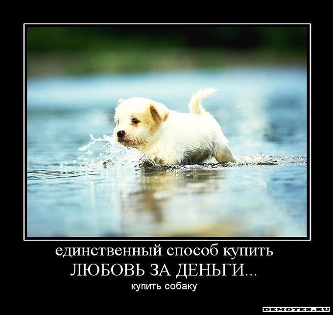 Евгений Евгений | 