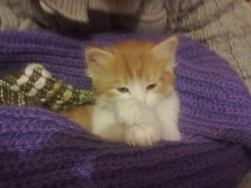 Роман Джантелеев | Москва