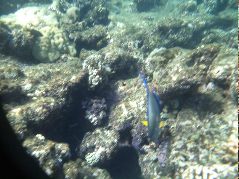 Александр Львов | Колпино