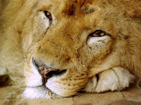 Виталий Мартыновский | Киев