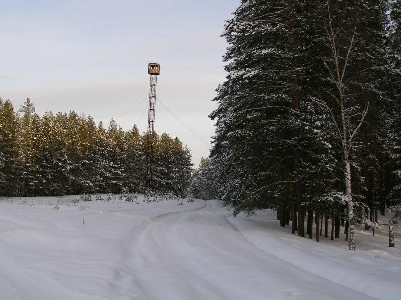 Алексей Друзин | Алатырь