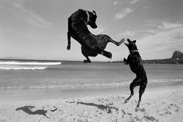 №15, Александр Соловьев, Москва №15, Александр Соловьев, Москва