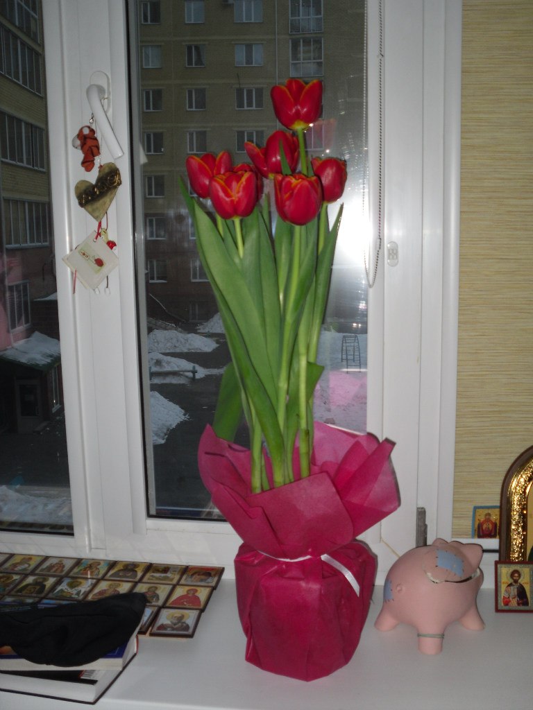 Michelle Tul | Омск