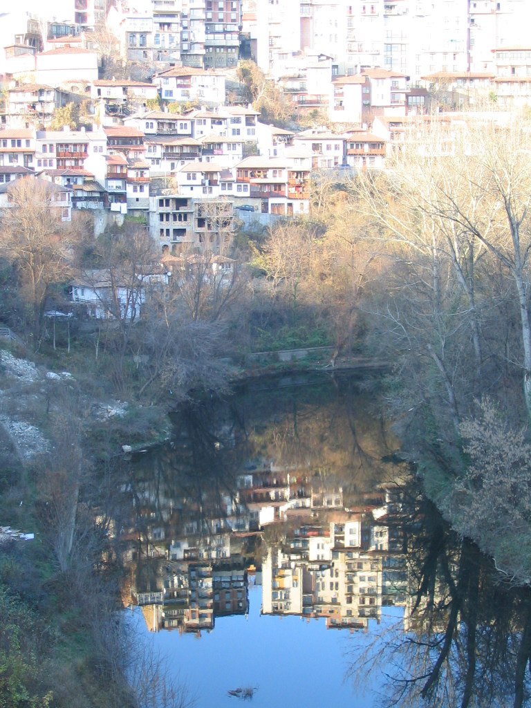 Алёна Димитрова | Санкт-Петербург