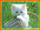 №4 Елизавета Одинцова 29.08: профиль, фото, статус - ВКонтакте №4 Елизавета Одинцова 29.08: профиль, фото, статус - ВКонтакте
