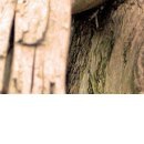 №47, Алина Деревянко, Харьков №47, Алина Деревянко, Харьков