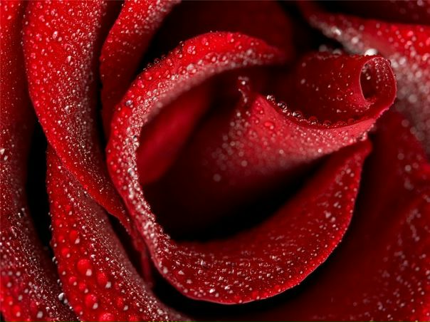 №172, Машуля Куринная, 35 лет, Запорожье №172, Машуля Куринная, 35 лет, Запорожье