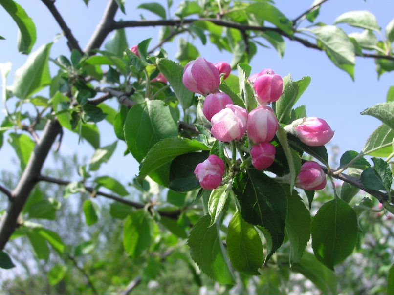 Ирина Рыбальченко | Киев