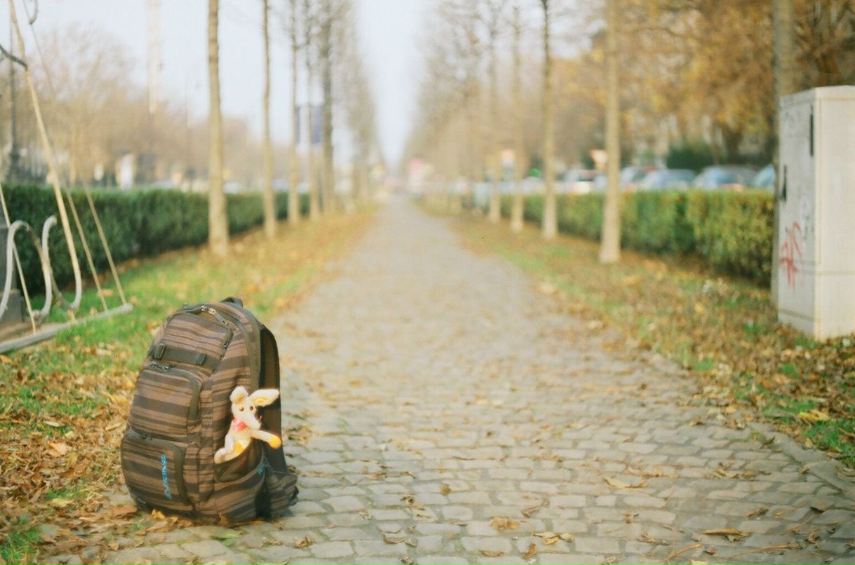 Золтан Бёгре | Москва