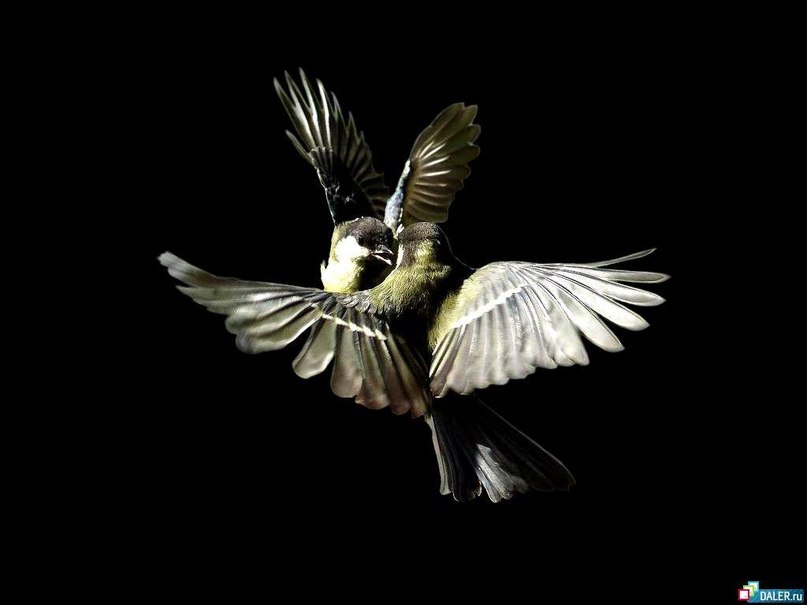 Nik Doronin | Санкт-Петербург