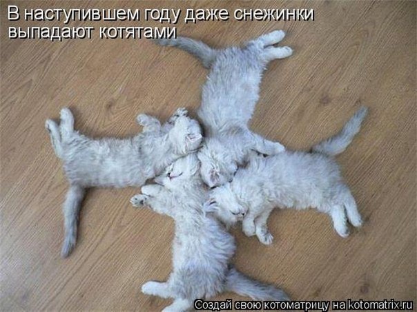 Ольга Камаева Валерьевна | Самара