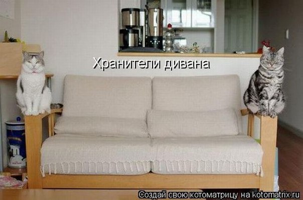 Марья Гаске | 