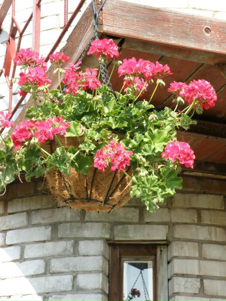 №80, Елена Жарова, Москва №80, Елена Жарова, Москва