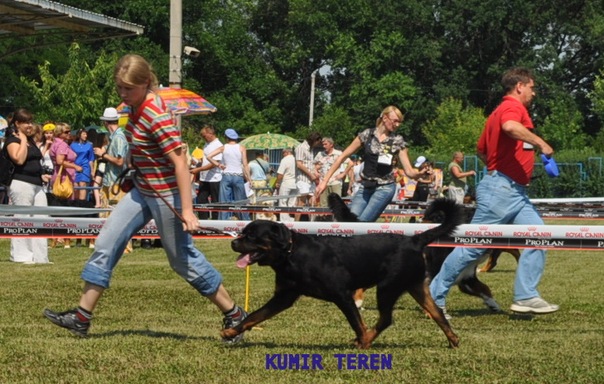 №125, Ольга Брусник, Кривой Рог №125, Ольга Брусник, Кривой Рог