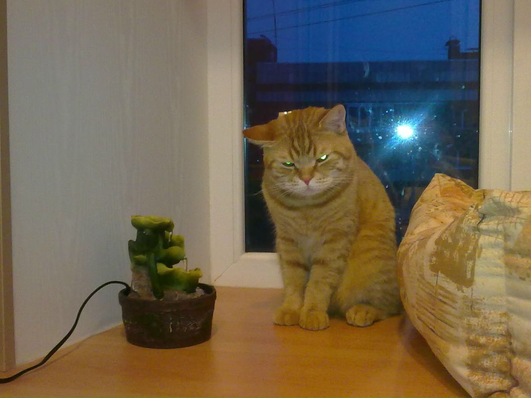 Анна Шадрина | Санкт-Петербург