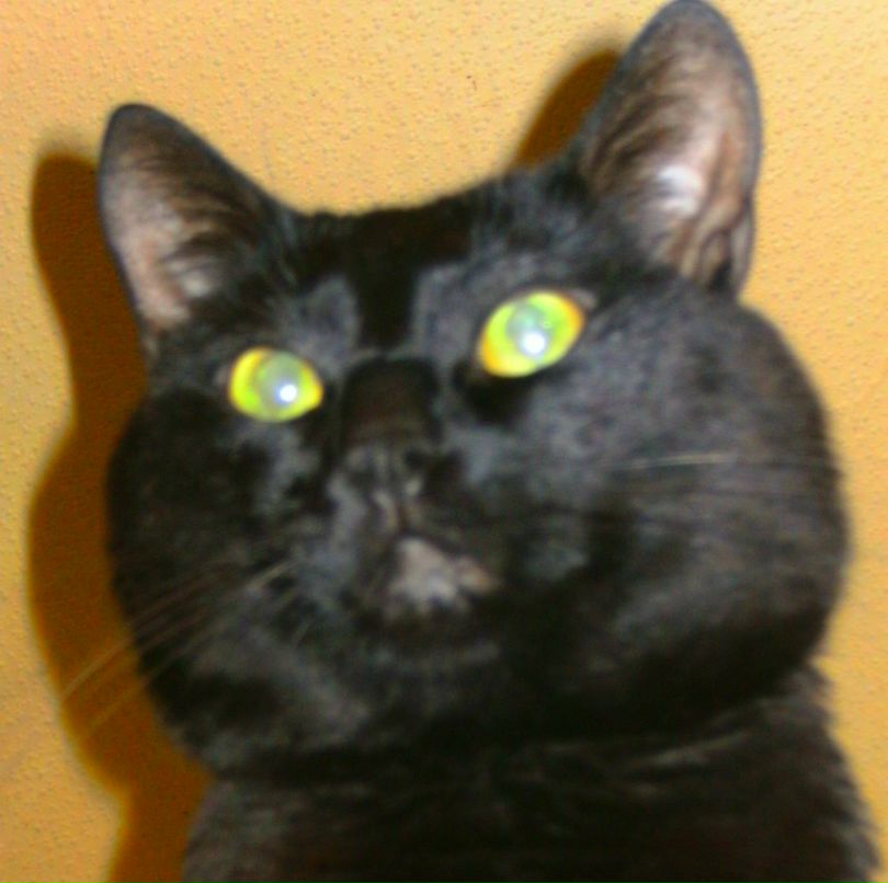 Alex Doom | Киев