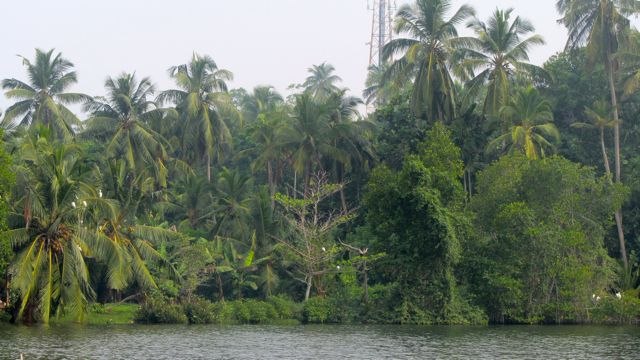 Oleg Kostrow | Москва