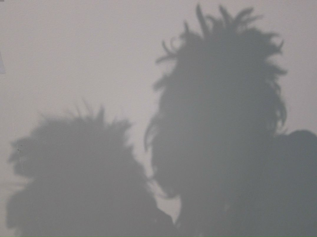 Сергей Растольцев | Москва