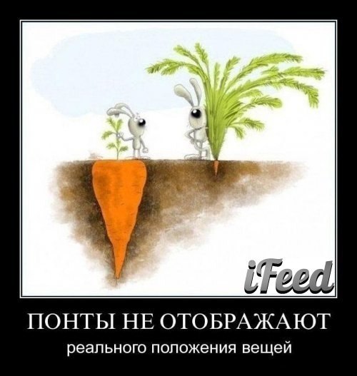 Маргарита Абаимова | Москва