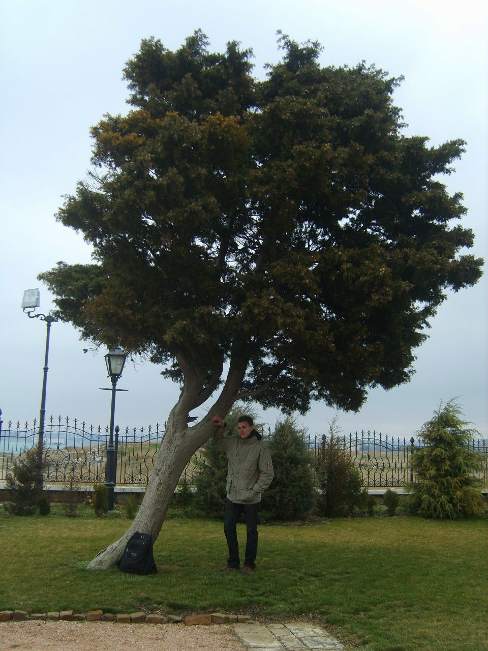 Олег Ярковий | Харьков