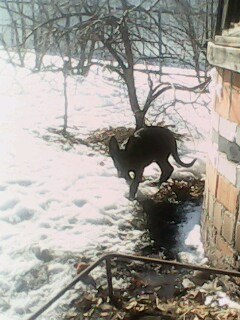 Екатерина Семёнова | Челябинск