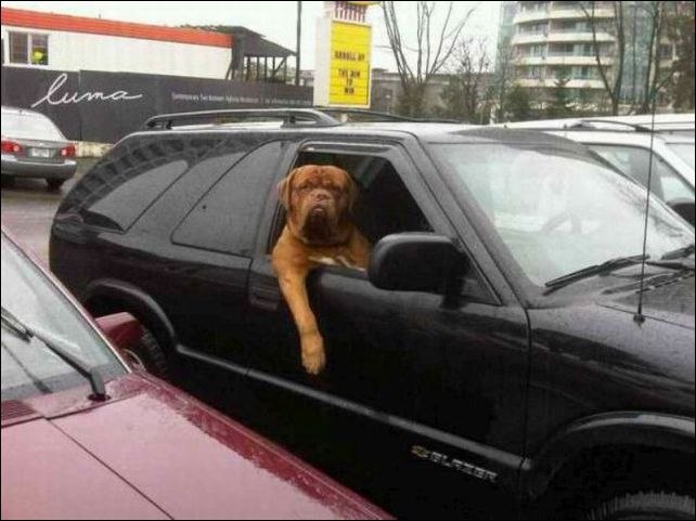 Василь Демченко | Шклов