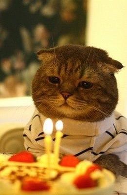 Никита Харкевич | Киев