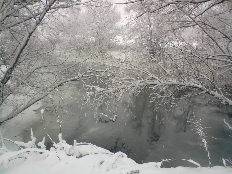 Ярослав Пилюгин | Москва