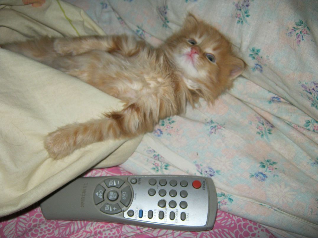 Лёха Четвериков Филейской | Киров