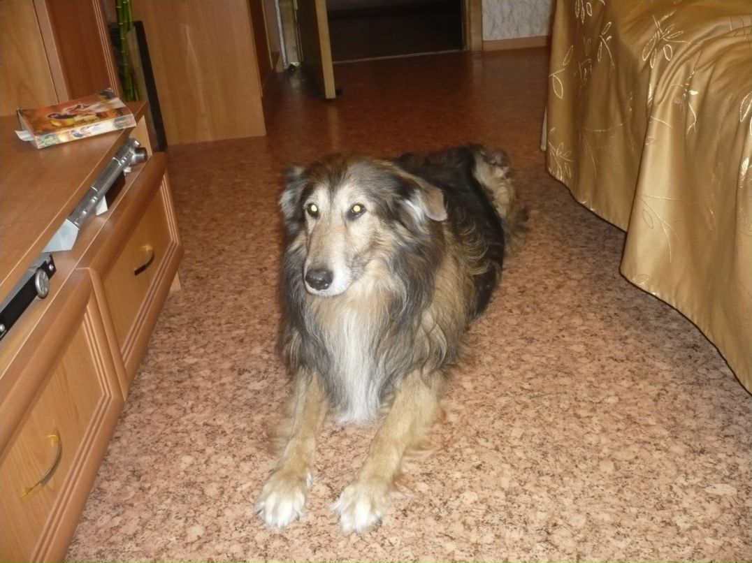 Лилия Кирик | Санкт-Петербург