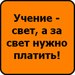 Давя Давич фотография #13