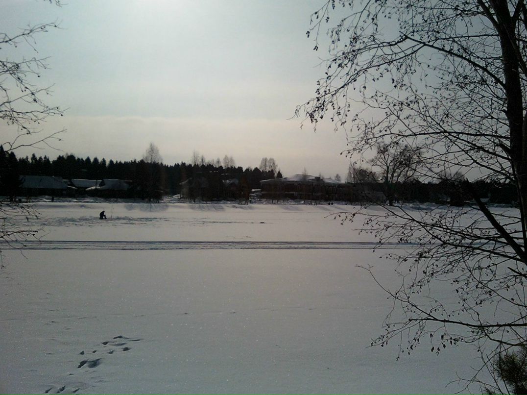 Валентина Стельмах | Тамбов