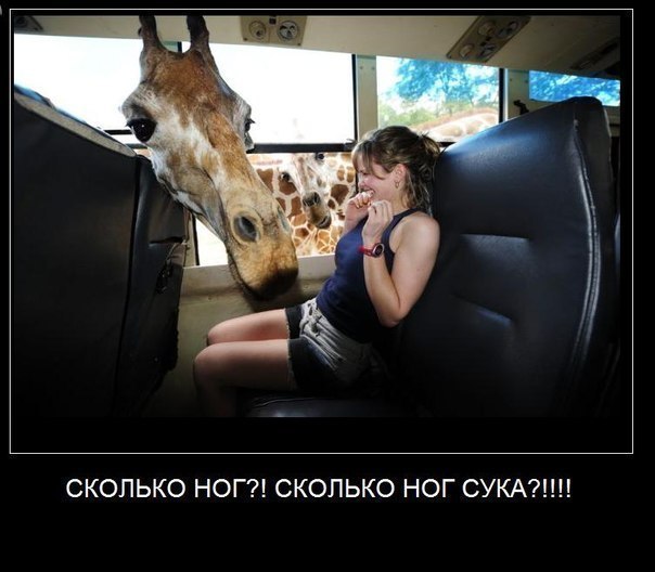 №27, Володимир Волинець, 35 лет, Киев №27, Володимир Волинець, 35 лет, Киев