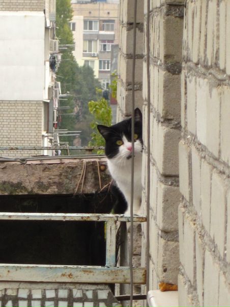 №13, Екатерина Кирдогло, Одесса №13, Екатерина Кирдогло, Одесса