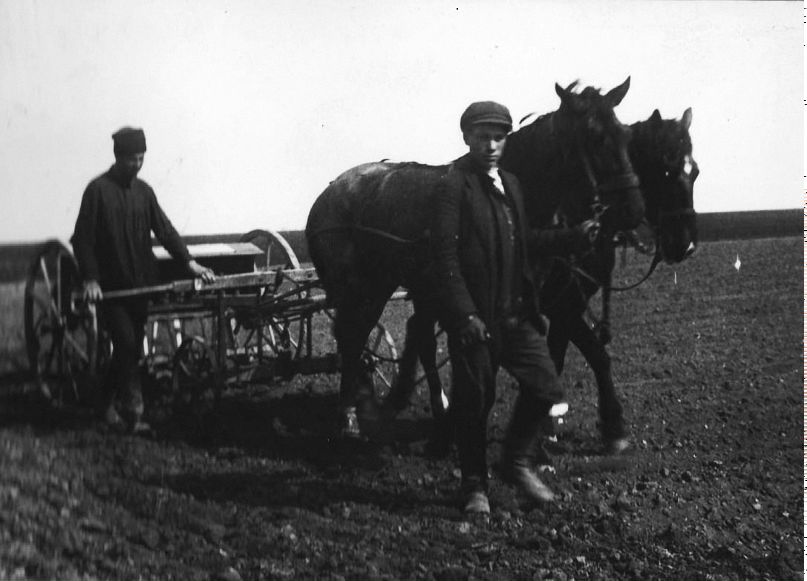 Игорь Алейников | Краснодар