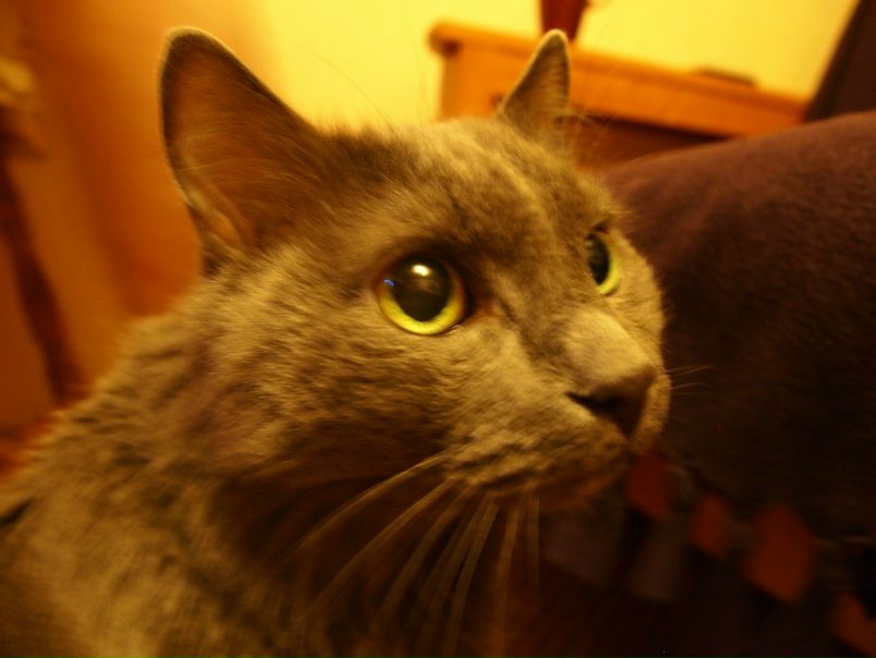 №6, Никита Филипенко №6, Никита Филипенко