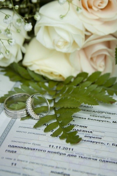 Анна Шкрабо | Минск