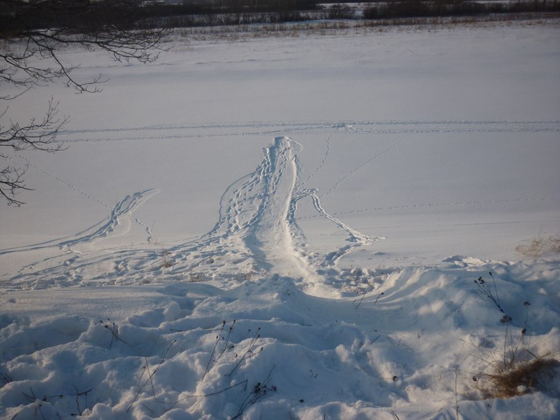 Сергей Кононов | Великий Новгород