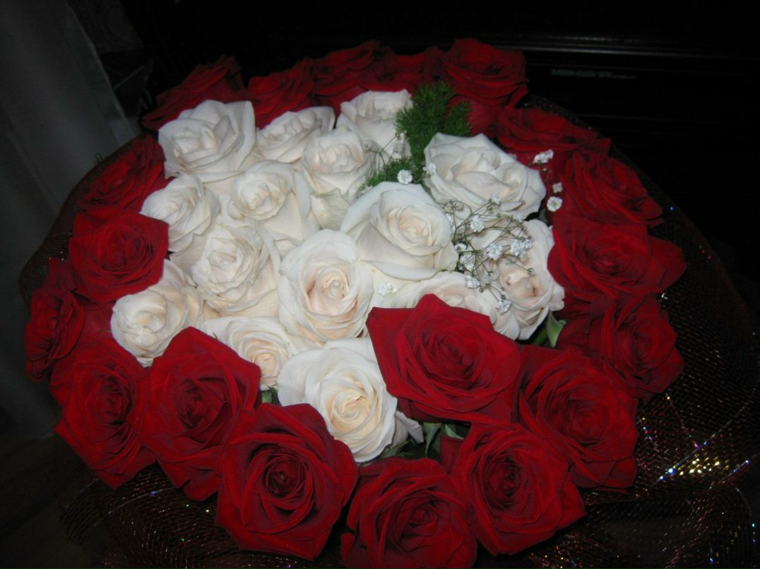 Марина Гаврилюк | Плесецк